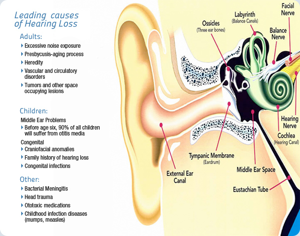 conductive hearing loss vs sensorineural hearing loss