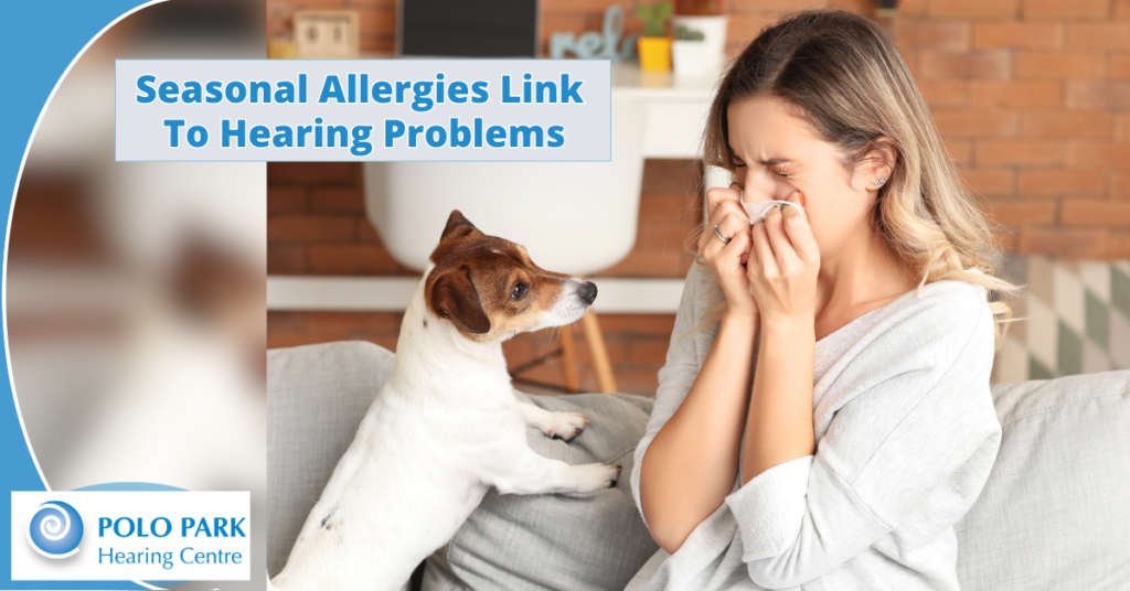 Seasonal allergies sneezing woman experiencing tinnitus
